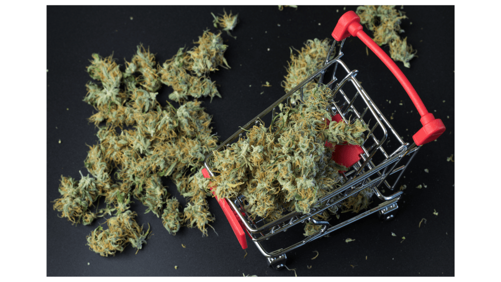 Small Business Saturday: How you can support MI cannabis businesses