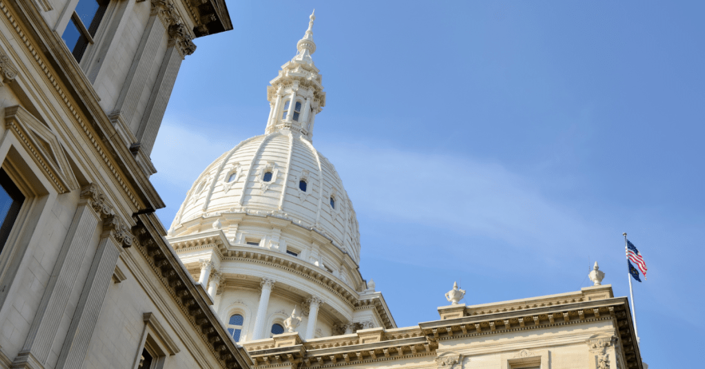12 candidates run for two empty House seats in Michigan