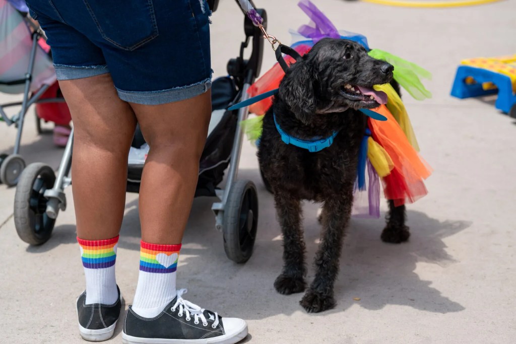 Michigan cities rank above national average on annual LGBTQ+ scorecard