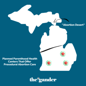 8 ways Michigan Democrats protected abortion rights in 2023