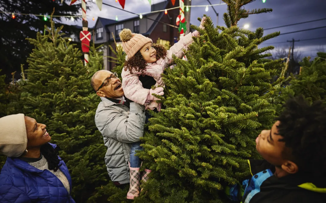Want a fresh Christmas tree? Visit these farms in mid-Michigan