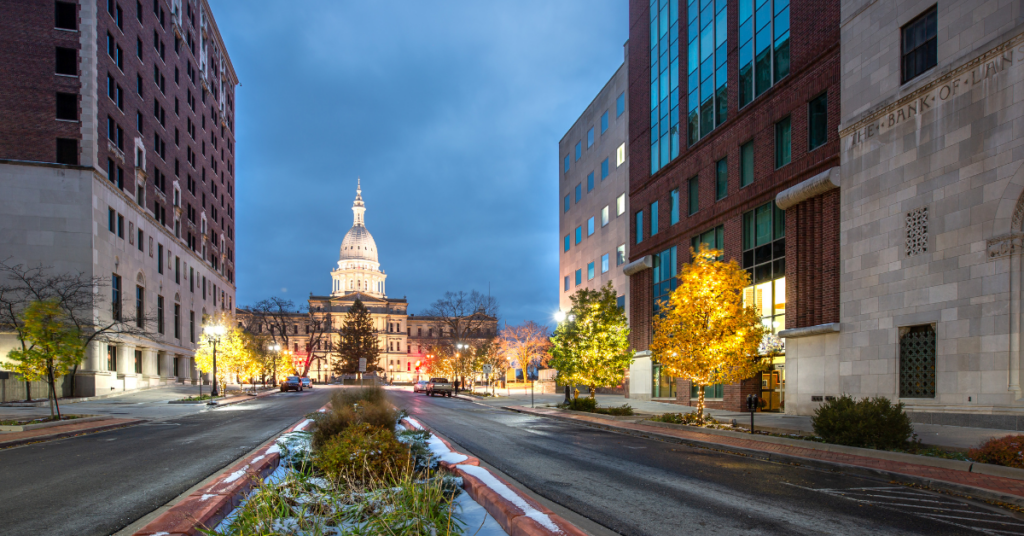 MICHIGAN POLITICS - The Gander