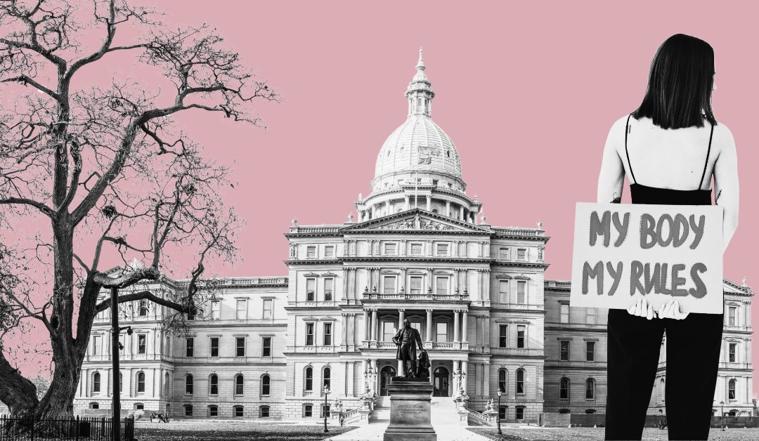 8 ways Michigan Democrats protected abortion rights in 2023