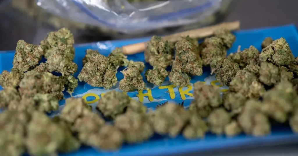 9 quick hits of cannabis news from across Michigan