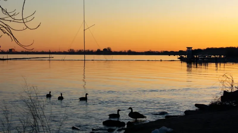 Birdwatching in winter? Yes! Here are 10 favorite places in Michigan