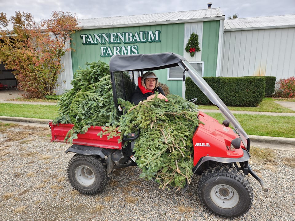 Want a fresh Christmas tree? Visit these farms in midMichigan