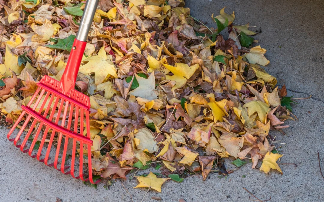 Got a rake? Ann Arbor phasing in a ban on gas-powered leaf blowers