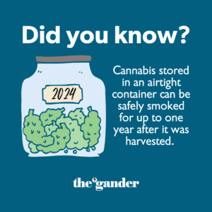 Doobies for Newbies: A dank directory of cannabis knowledge for Michigan stoners