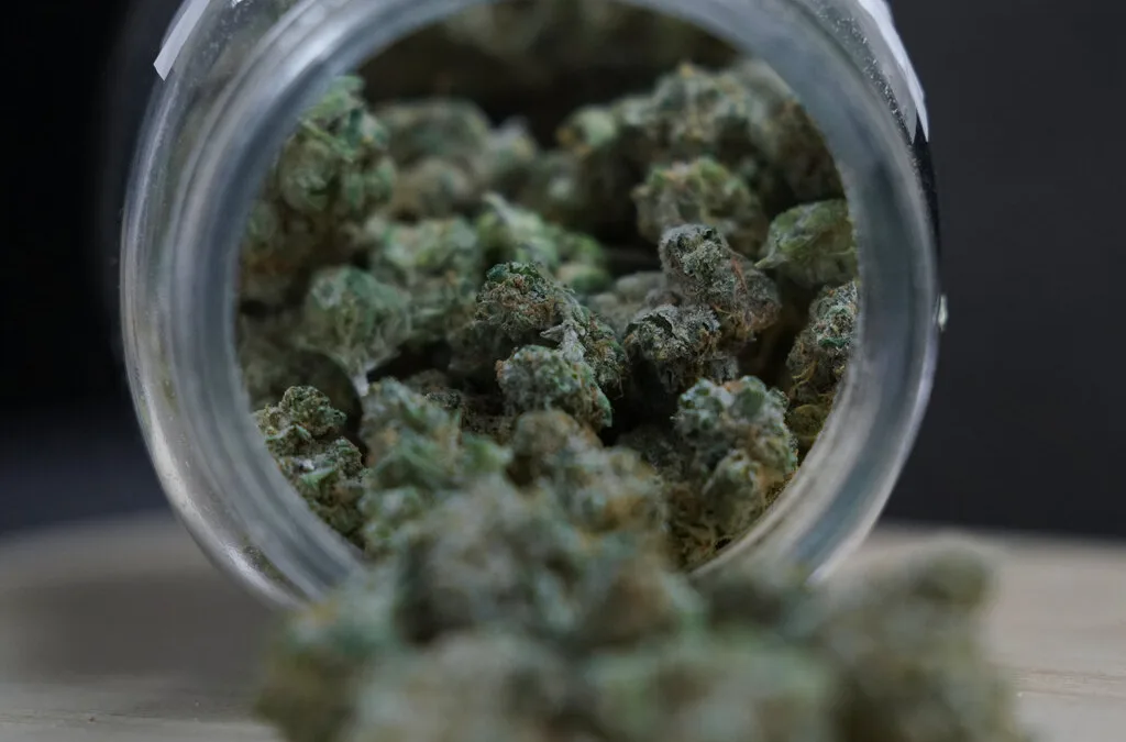 That one time in Michigan: When we legalized weed