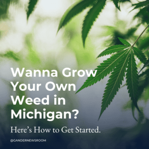Doobies for Newbies: A dank directory of cannabis knowledge for Michigan stoners