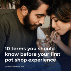 Doobies for Newbies: A dank directory of cannabis knowledge for Michigan stoners