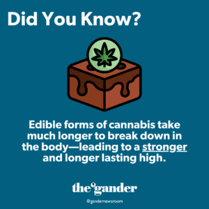 Doobies for Newbies: A dank directory of cannabis knowledge for Michigan stoners