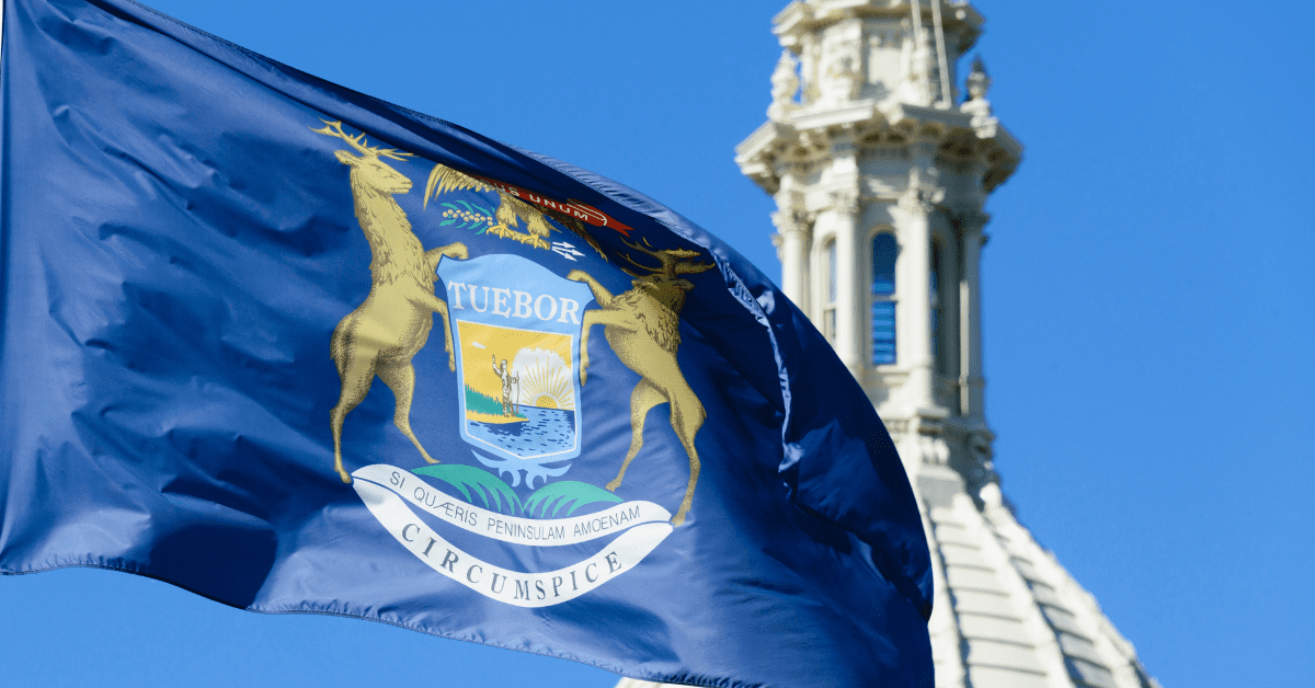 Democratic field set for special election that could determine control of Michigan House Democratic field set for special election that could determine control of Michigan House
