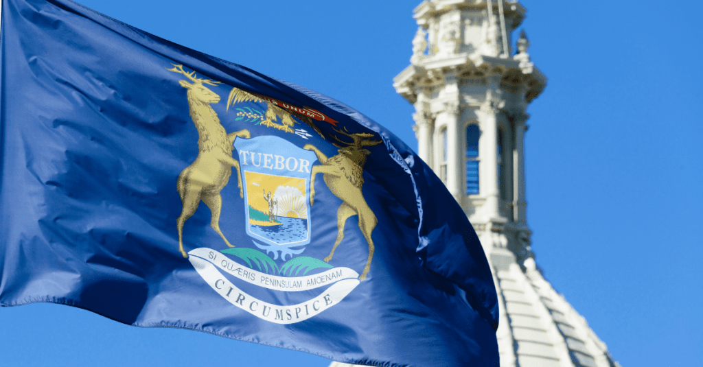 Democratic field set for special election that could determine control of Michigan House