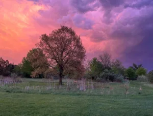 Your guide to the best hikes around Lansing, MI