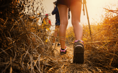 Your guide to the best hikes around Lansing, MI