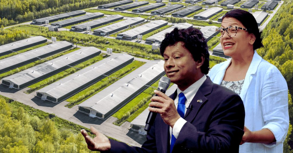 Michigan lawmakers urge feds to end tax credits for ‘inhumane’ factory farms