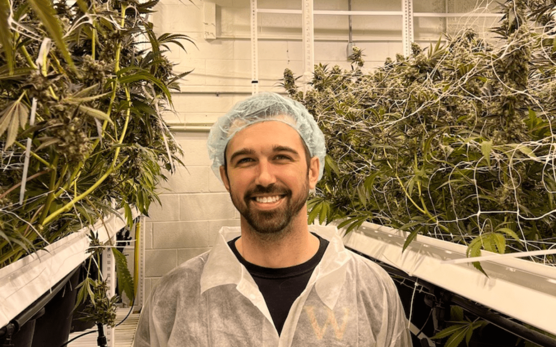 How this Ann Arbor dispensary stays true to its family-owned roots