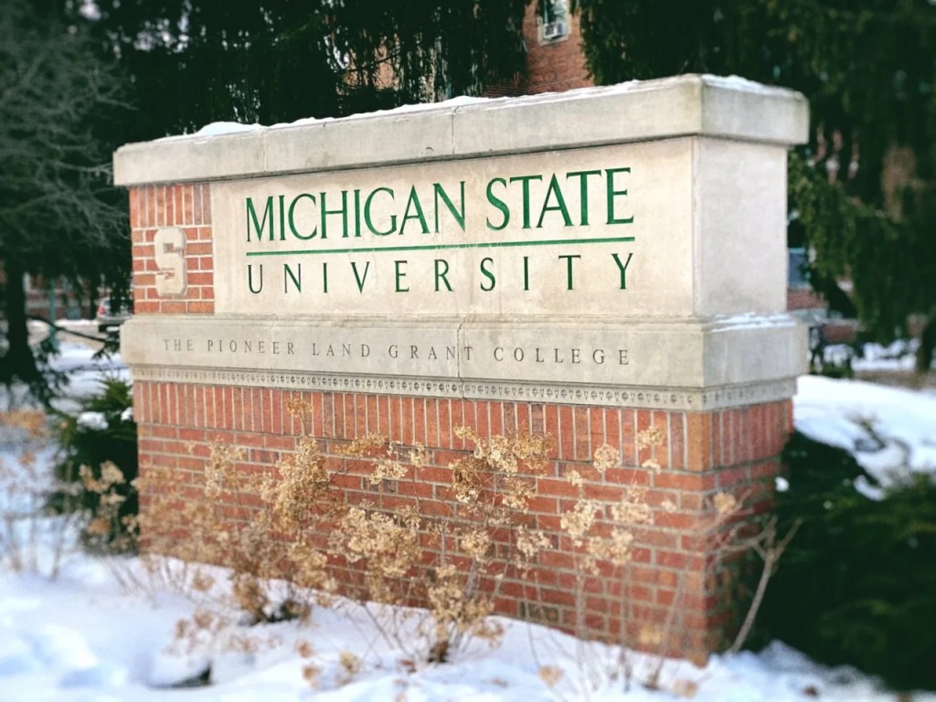 Report asks MSU to have governor consider removal of trustees Vassar and Denno