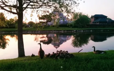 Michigan asking residents to list investment priorities for Belle Isle state park in Detroit River