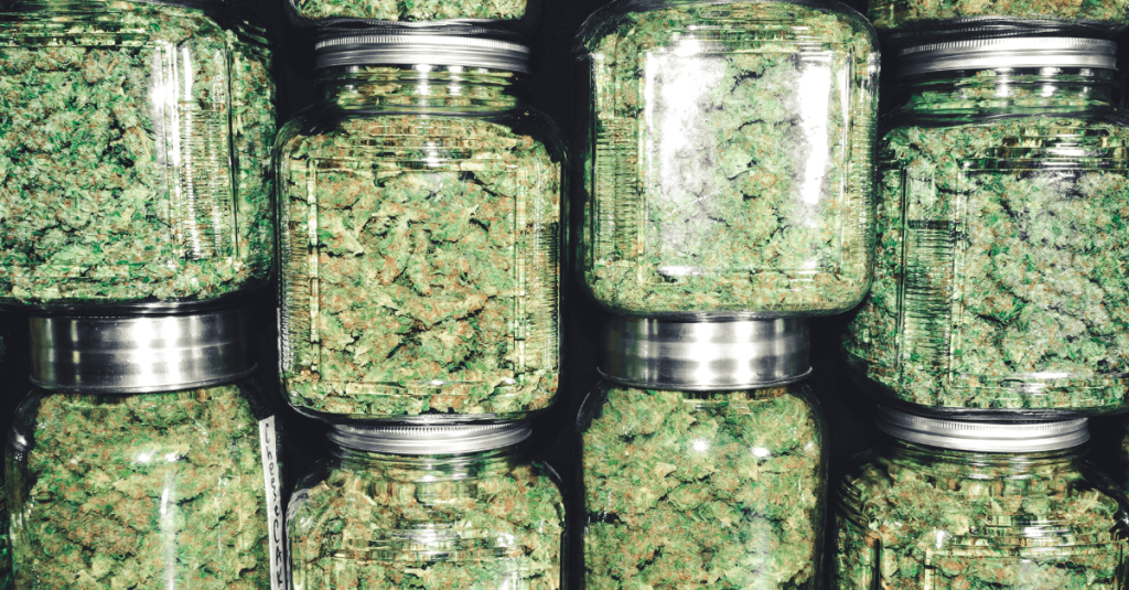 9 quick hits of cannabis news from across Michigan