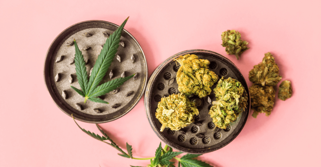 9 quick hits of cannabis news from across Michigan