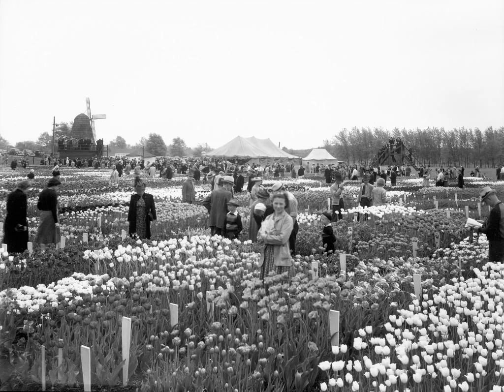 That one time in Michigan: When a Dutch town invented a festival of flowers