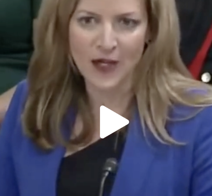 VIDEO: Benson urges congress: Protect elections from AI