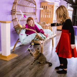 Michigan’s 7 cat cafes, ranked from worst to best