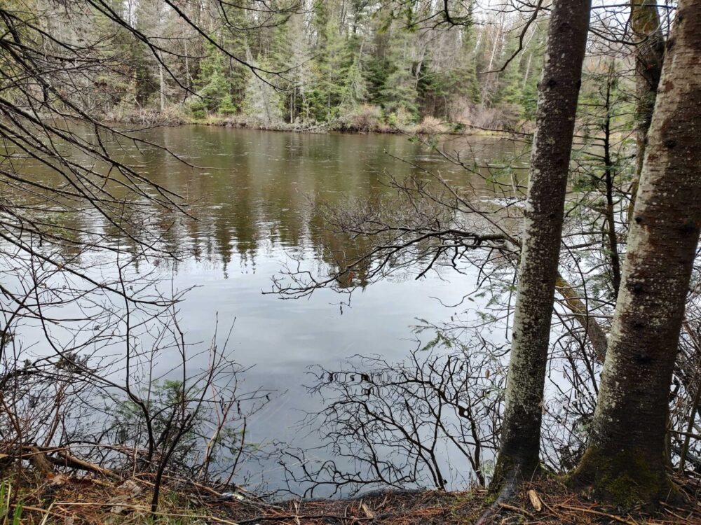 State agencies advise decontamination with discovery of ‘rock snot’ cells in the Au Sable River