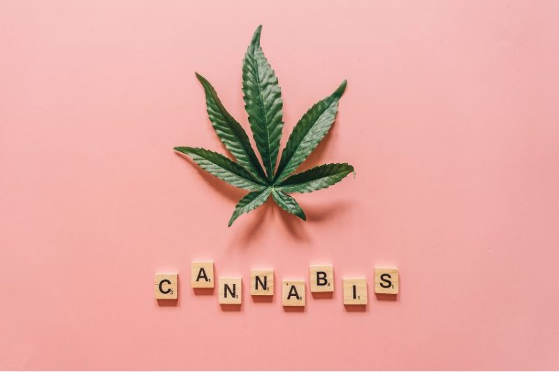 cannabis news