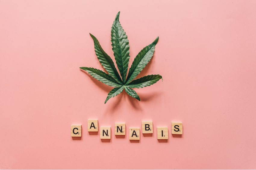 8 quick hits of cannabis news from across Michigan