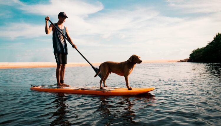 Your guide to stand-up paddleboarding in Western Michigan