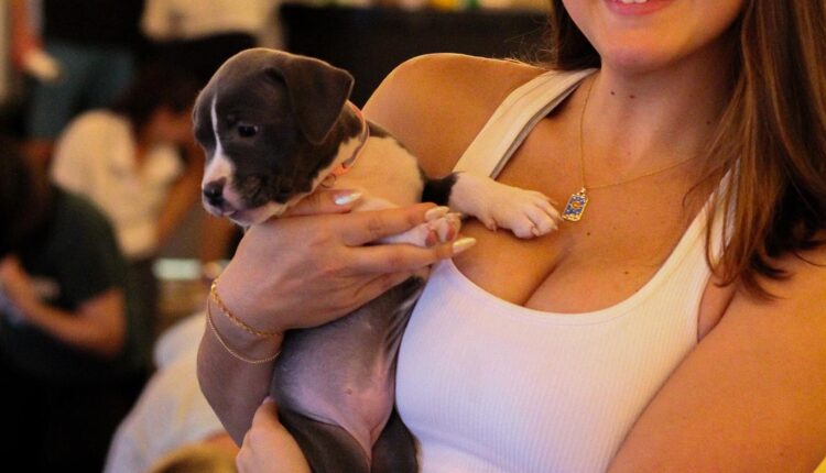 Coffee & canines: 9 pet-friendly cafes across Michigan