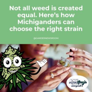 Doobies for Newbies: A dank directory of cannabis knowledge for Michigan stoners