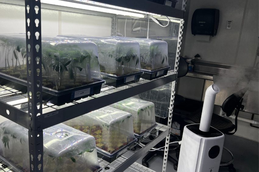 Photos: Massive Mid-Michigan greenhouses churn out literal tons of weed along I-96