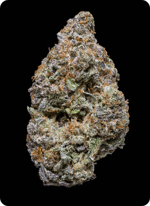 Treat yourself to some of the best top-shelf cannabis offerings in Michigan