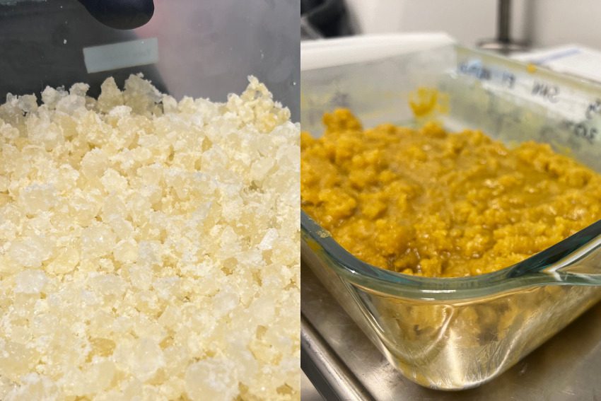 Photos: Massive Mid-Michigan greenhouses churn out literal tons of weed along I-96