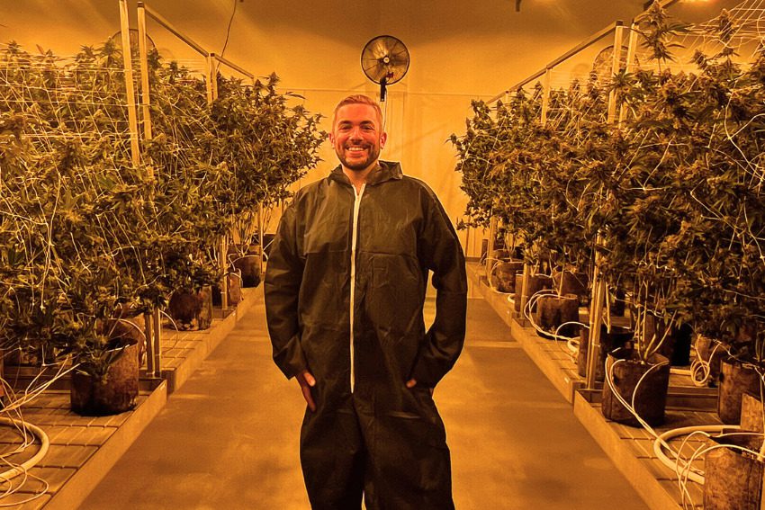 Photos: Massive Mid-Michigan greenhouses churn out literal tons of weed along I-96