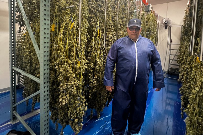 Photos: Massive Mid-Michigan greenhouses churn out literal tons of weed along I-96