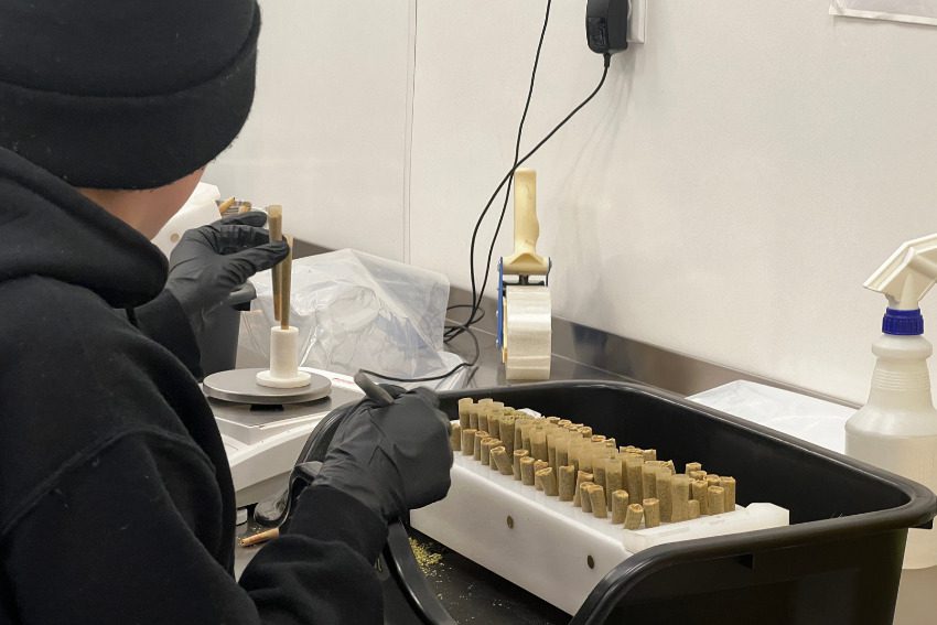 Photos: Massive Mid-Michigan greenhouses churn out literal tons of weed along I-96