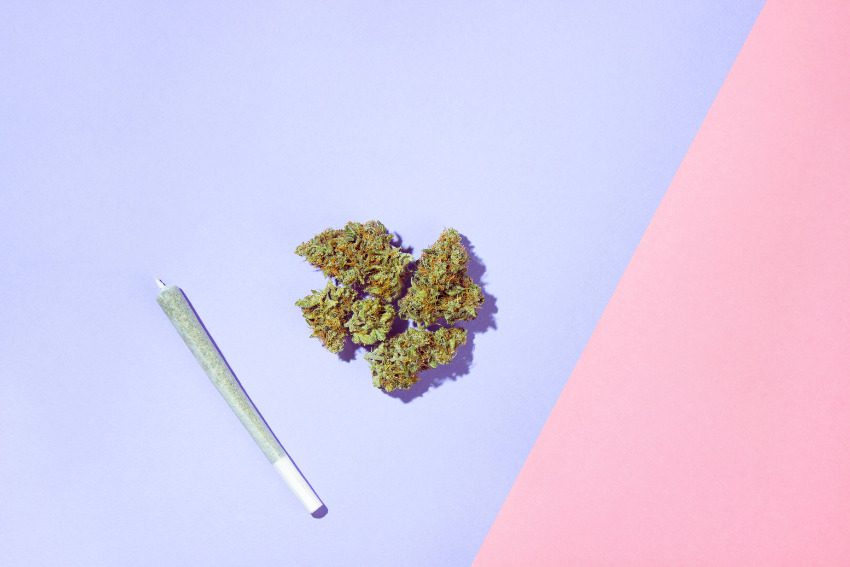 7 quick hits of cannabis news from across Michigan
