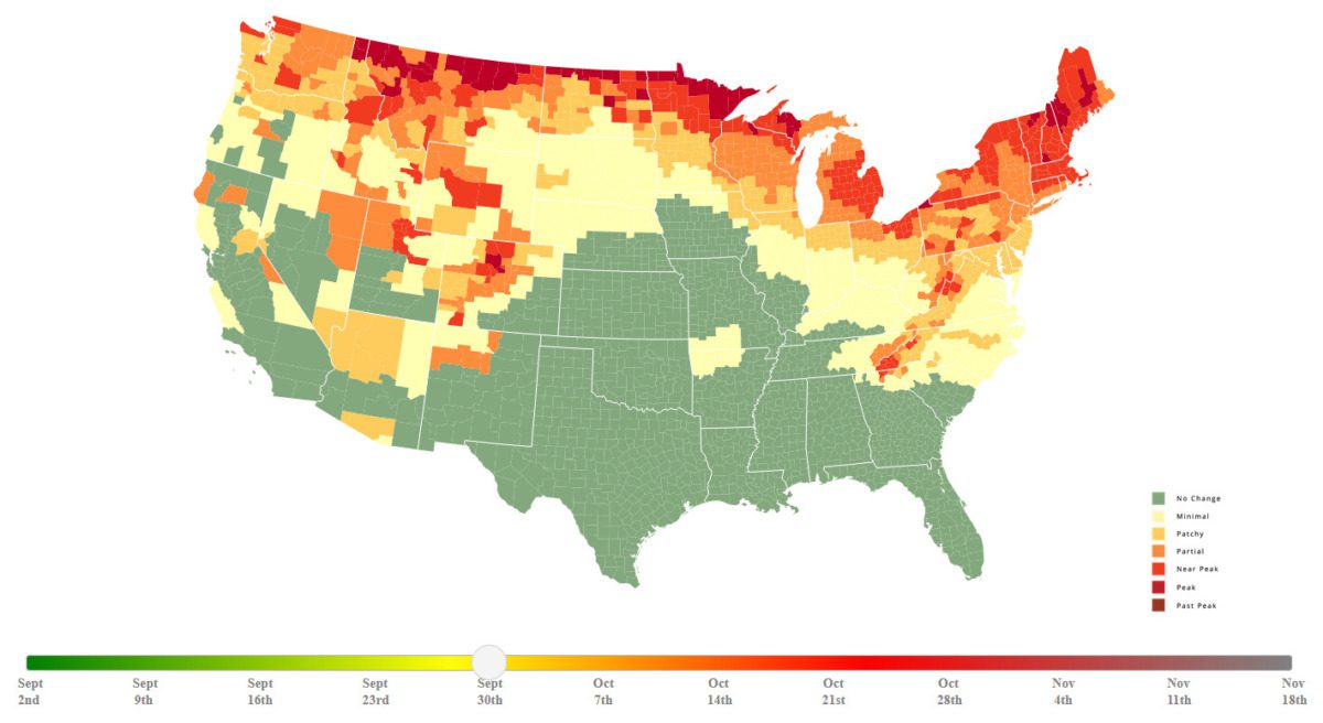 Michigan's 2024 fall foliage forecast: When to see peak colors in your area