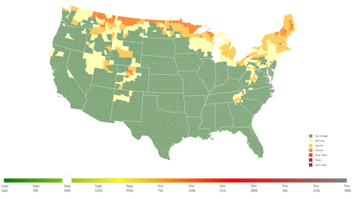Michigan's 2024 fall foliage forecast: When to see peak colors in your area