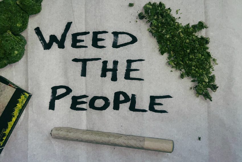 Weed the People: Why Michigan’s cannabis voters hold the key to the November election