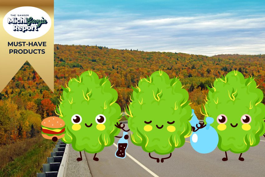 MichiGanja Must-Haves: 10 dank cannabis products for hoodie season in Michigan