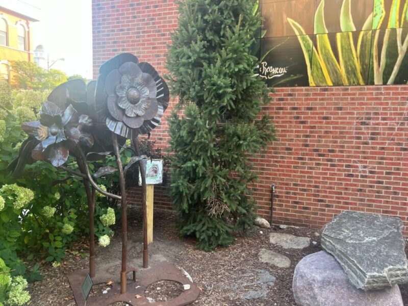 Nature on Nepessing: Follow the clues to see local art in Lapeer