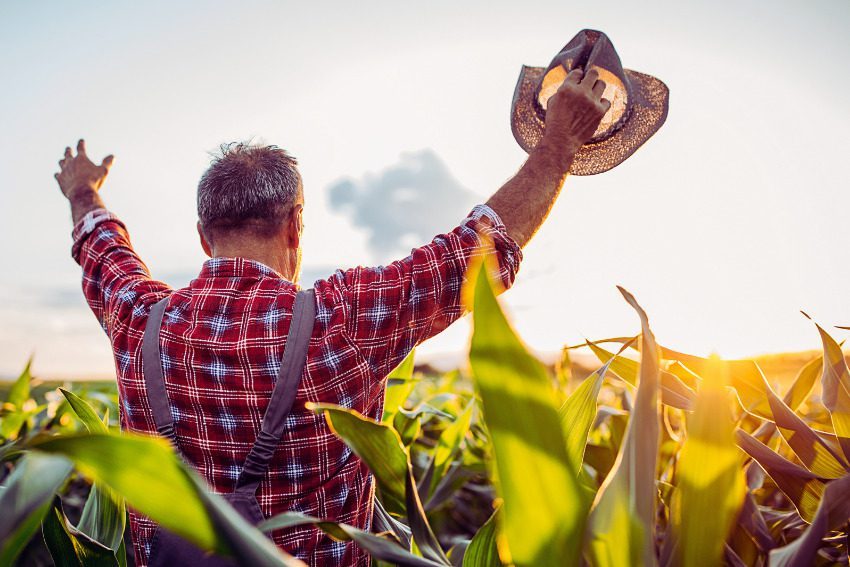 Federal grants to help dozens of Michigan farmers harvest their own clean energy