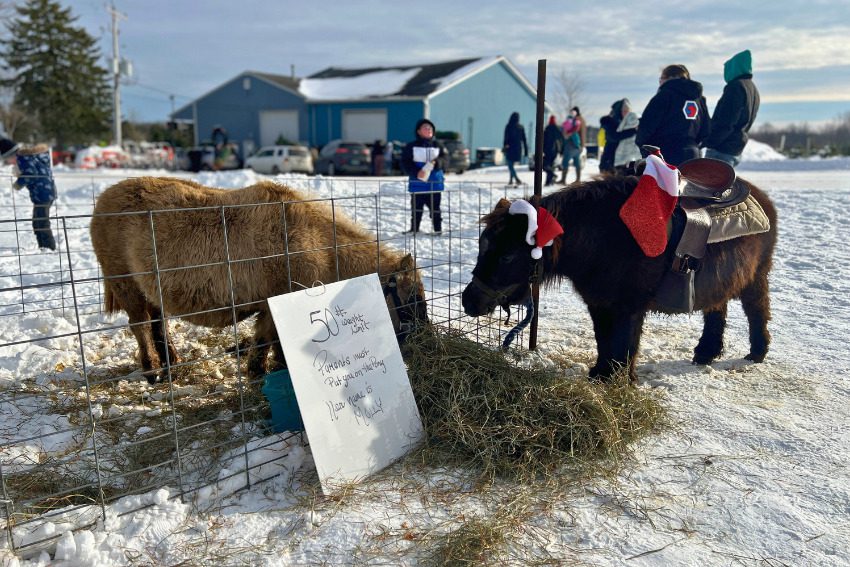 Rooted in Tradition: How Michigan's Christmas tree industry is keeping the holiday spirit alive