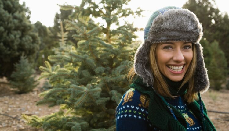 6 best cut-your-own Christmas tree farms in Michigan